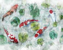 Фотообои рыба Factura FAUNA KOI 2